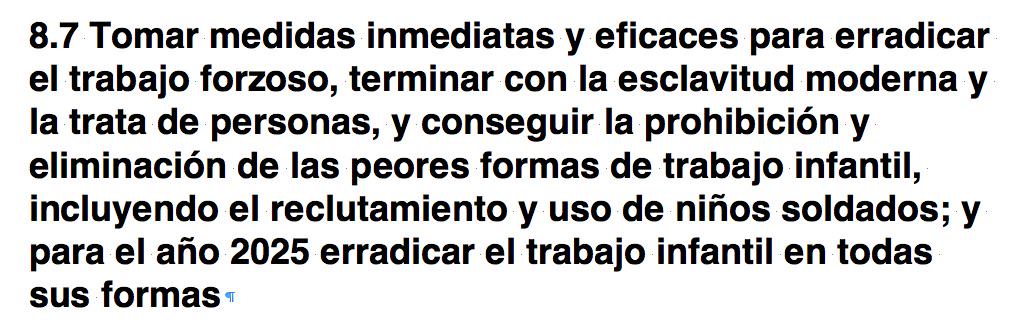 CasinaPioIV's tweet photo. Hoy es un día glorioso: los pueblos del mundo reunidos se comprometen a liberar los seres humanos con el objetivo 8,7 http://t.co/zXtnysUYu2