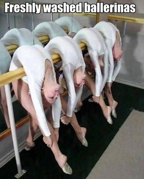 comediva's tweet photo. A scene from the disappointing sequel to Swan Lake, entitled Swan Laundry http://t.co/tFWXcgyfxY