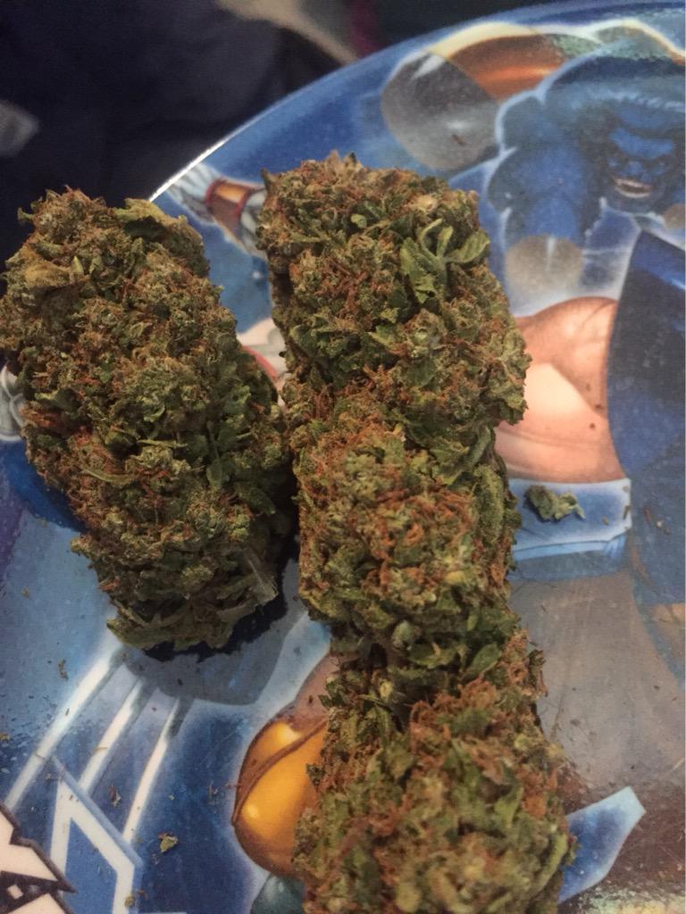 Legalize2Help's tweet image. I love fat ass nugs. So glad to be back to the Florida dank weed. 9/10 for this stuff!