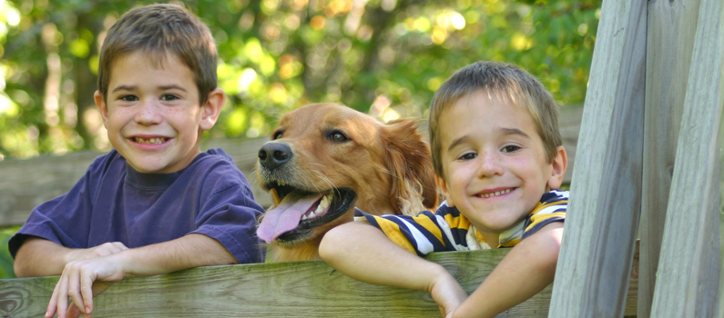 ZeuterinDogs's tweet photo. RT @medlineplus: Own a pet? Keep it healthy!  Learn how on our Pet Health page http://t.co/Iq2GrURPMF http://t.co/QZArQqcXuv