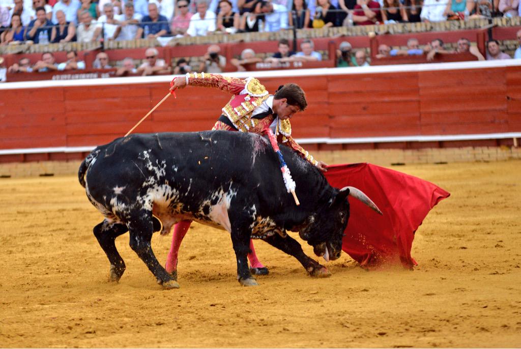 toroslamerced's tweet photo. Capacidad, magisterio, hondura... Dos orejas! @elJuli amarra la puerta grande en #Colombinas2015 http://t.co/jS57dHrzR5