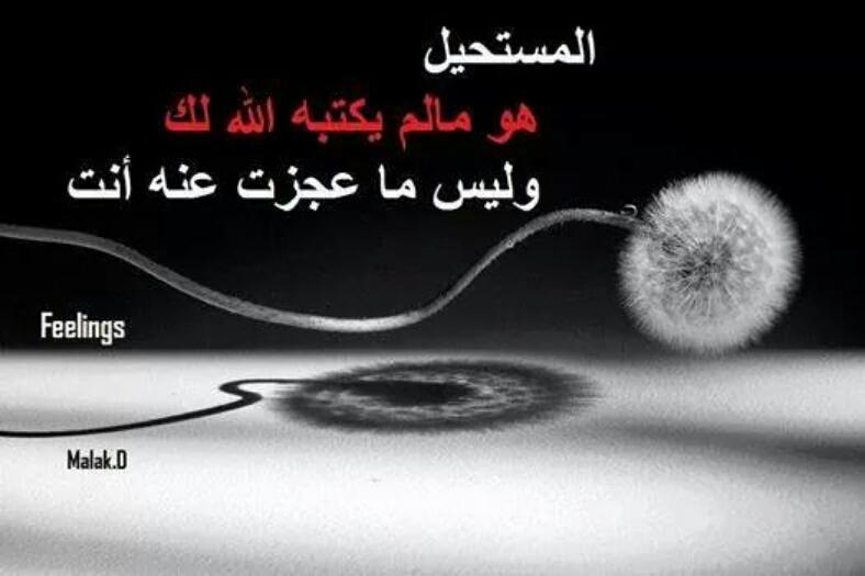 khaledkoki9's tweet photo. http://t.co/7M3NJeAphH