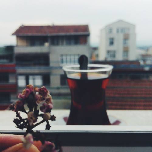 “çâyın yanına kurabiye mi, çikolata mı?” deseler 

- ‘dost’ derim.