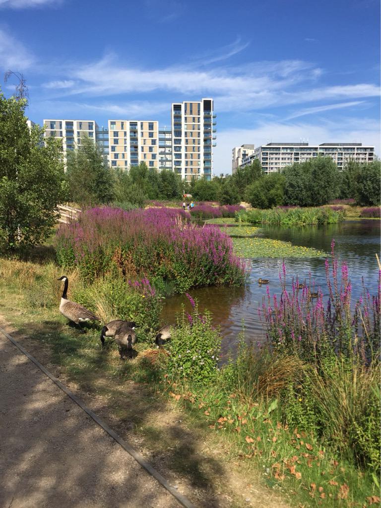 The Queen Elizabeth Park (which you may remember from such Olympics as London 2012) is rammed full of glorious nature
