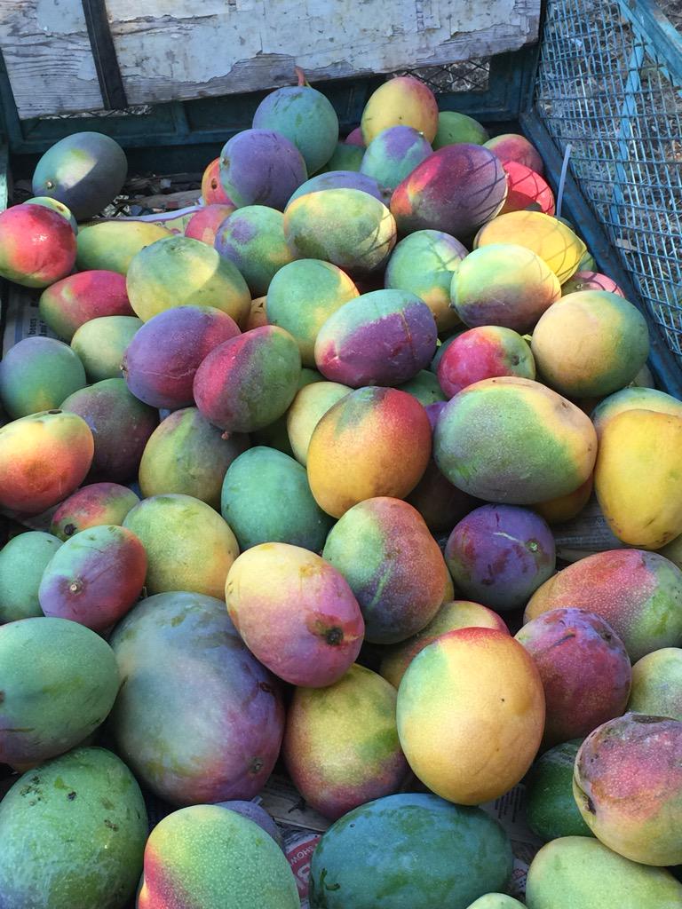 220# #makahamangoes delivered to @downtoearthfood Kapolei. #haydens #mapulehus #popes