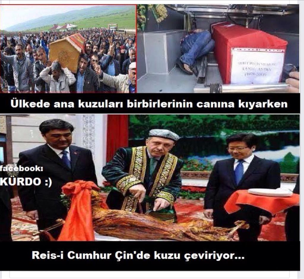 Bengisu Yesiltepe (@yesiltepe2763) on Twitter photo 