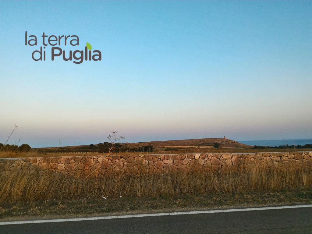 puglia's tweet photo. 10 luoghi da visitare in #Puglia: http://t.co/LZopXYJxin http://t.co/m8eGILIAm5