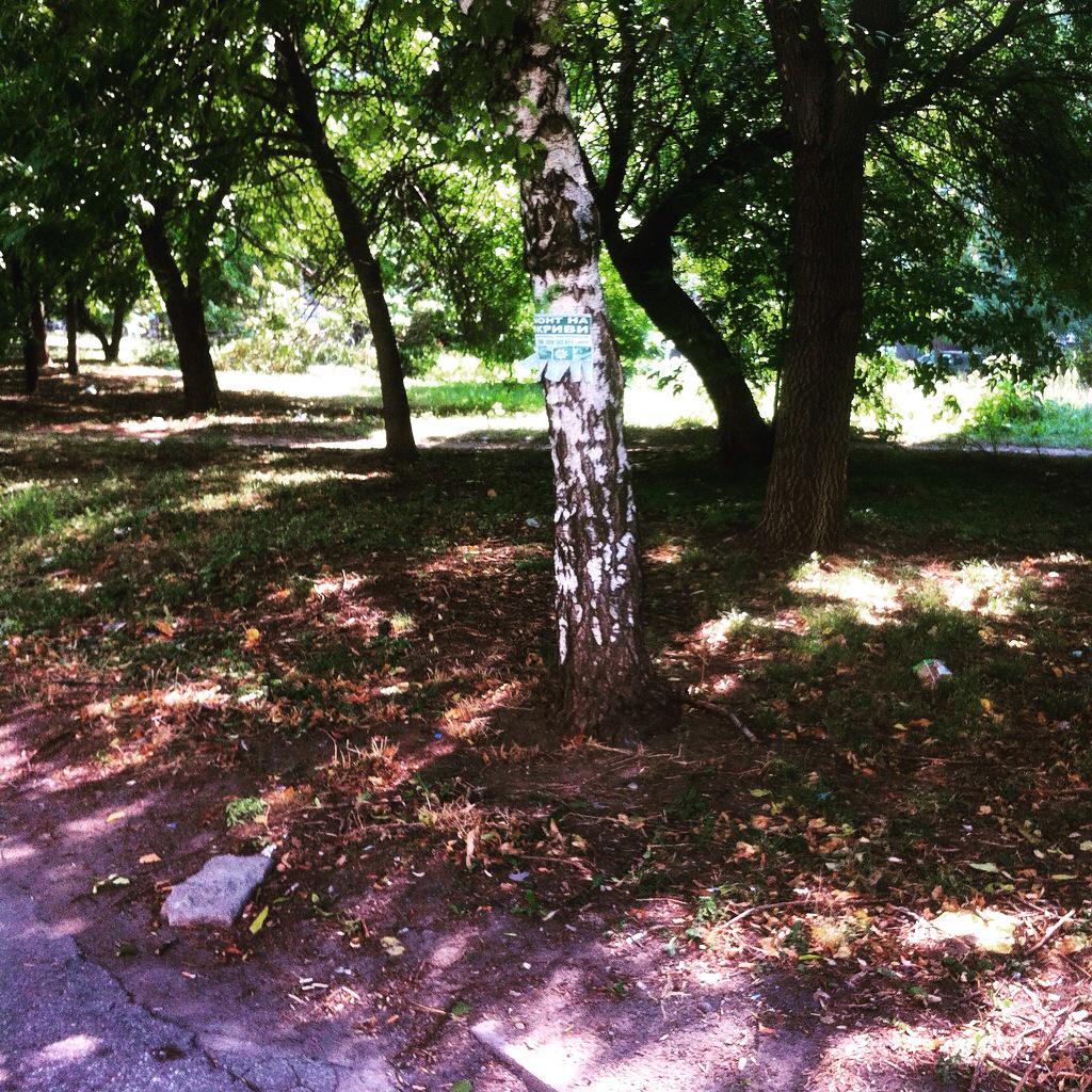 #nature #Bulgaria #trees#buity