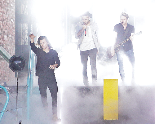 TeamDirectionBR tweet picture