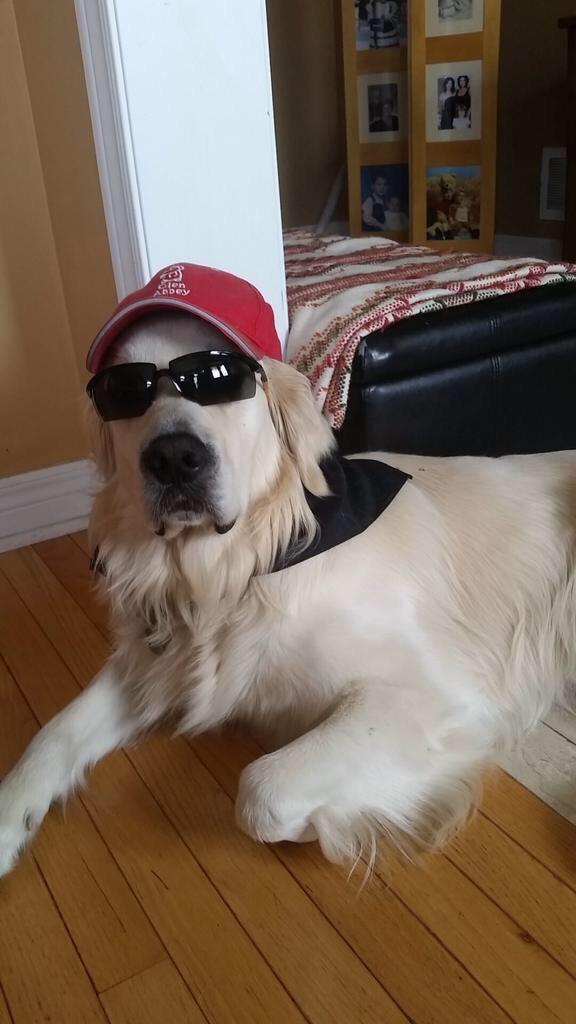 ChurchofState's tweet image. were the new addition to life and death haha watch out