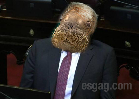 OMGdata's tweet photo. #LaMorsaEsAnibal  esta foto lo confirma! http://t.co/G2CJHXVOlv