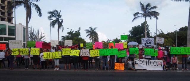 lau_arci's tweet photo. #SalvemosManglarTajamar #EcocidioCancun #CancunUnido #TodosSomosCancun @gsolisb @ElviaMZenteno @VivoEnCancun http://t.co/SkwBa3Ggo1