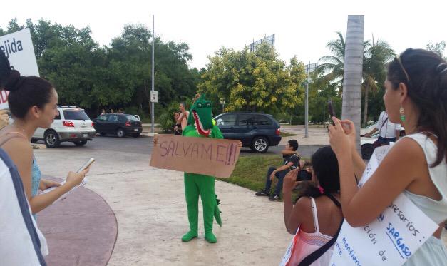 lau_arci's tweet photo. #SalvemosManglarTajamar #EcocidioCancun #CancunUnido #TodosSomosCancun @gsolisb @ElviaMZenteno @VivoEnCancun http://t.co/SkwBa3Ggo1