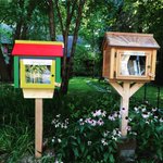 Photo by Little Free Library (@FreeLitLibrary)