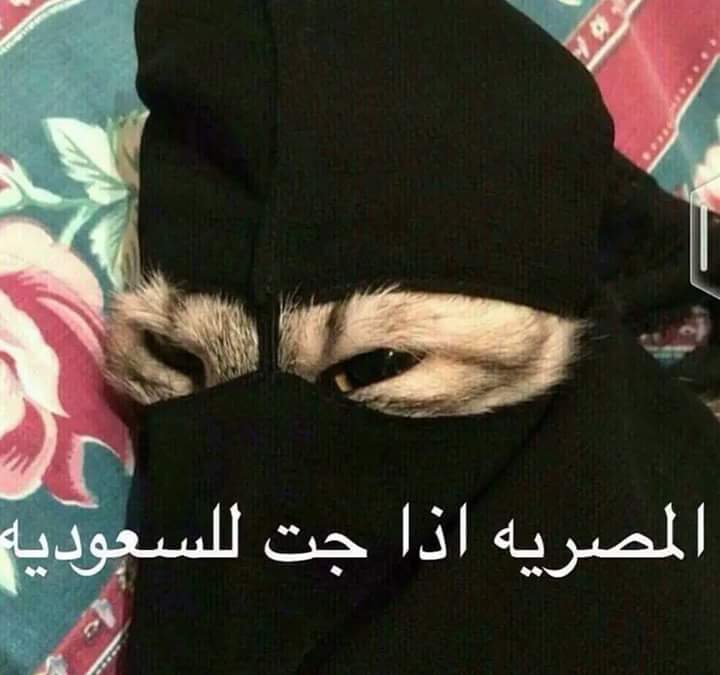 ههه