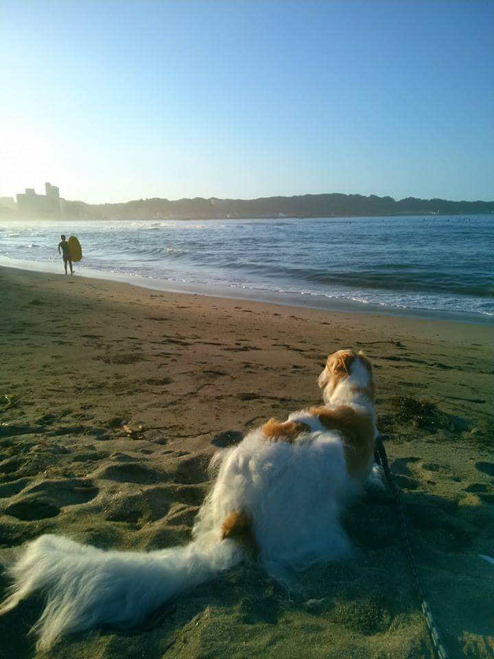goodboy_alex's tweet photo. 去年の今日か。
この写真好きだったな。 http://t.co/AoQmrVK96l