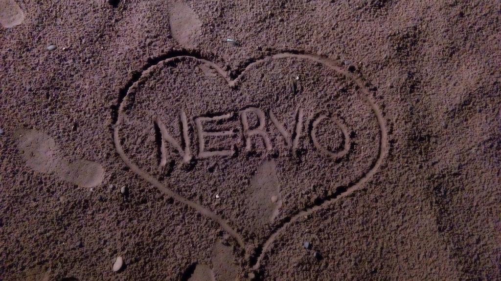 I love you so much <a href="/nervomusic/">NERVO</a> <a href="/ArenalSound/">Arenal Sound</a> #2015