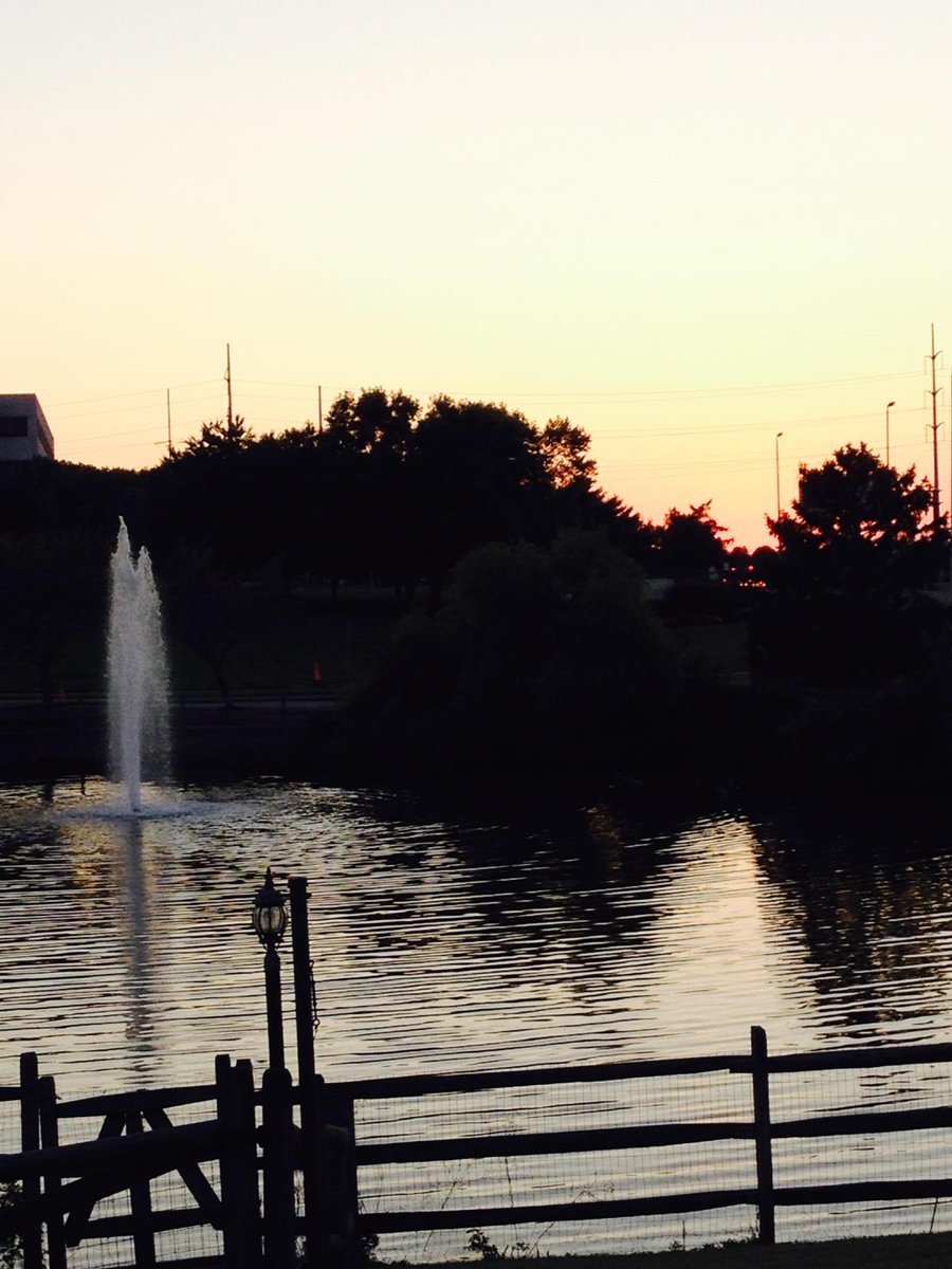 sunsethill65's tweet image. Relaxn#DE