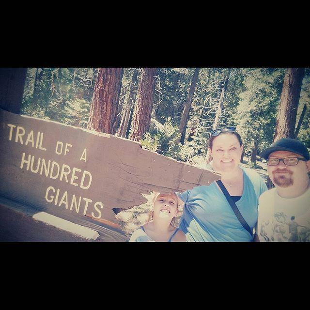 BlakeMurphy's tweet photo. Hiking around the trail of one hundred giants #hiking #mountains #sequoia #sequoianational… http://t.co/JbbAPIJh9D http://t.co/6IsrgiZsjQ