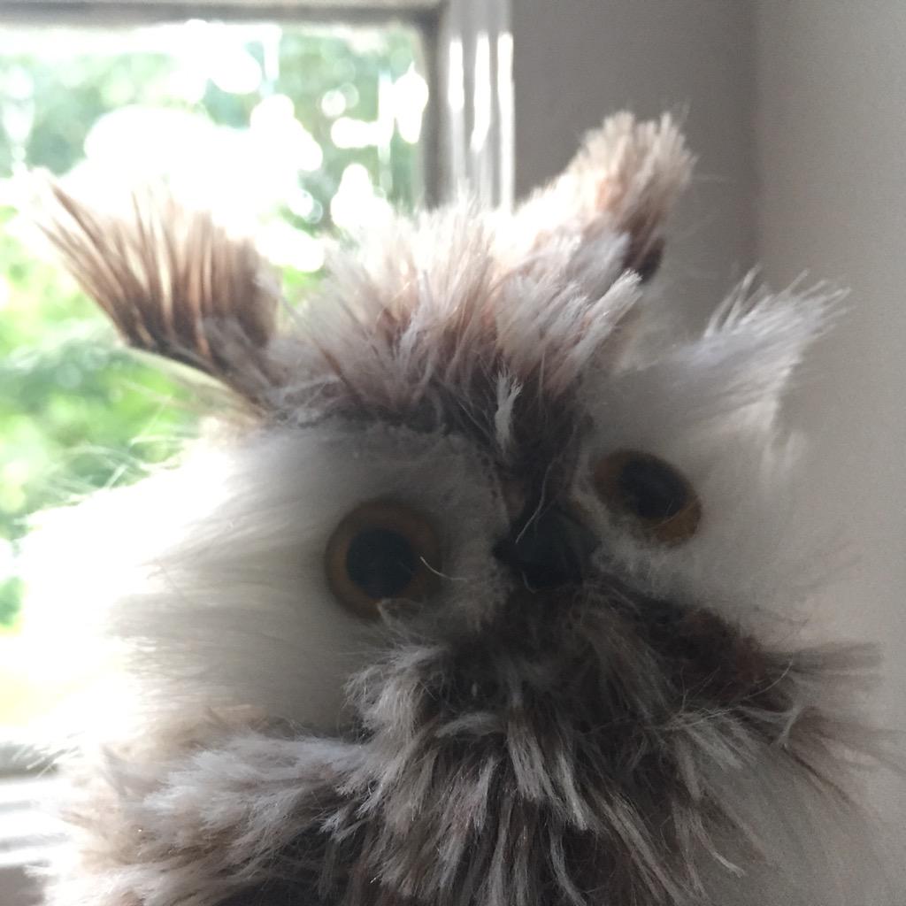 MarvelousMattR's tweet photo. Owl night long http://t.co/sOwwxcR0yU
