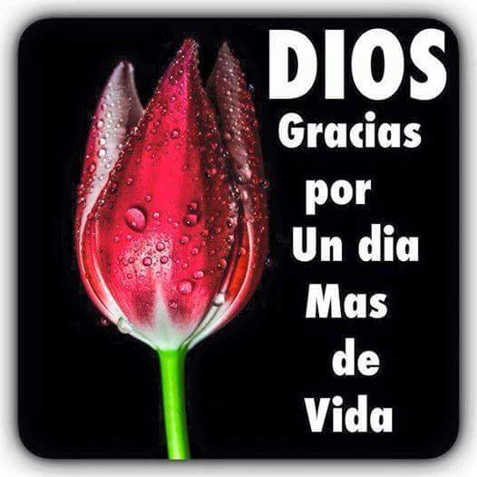 sharon77silva's tweet photo. http://t.co/GY58rSZYx2