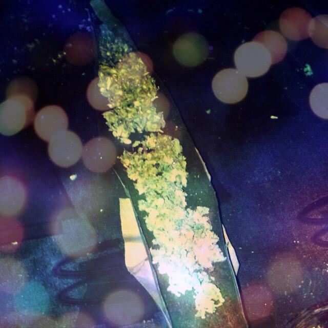 2LitWeed tweet picture