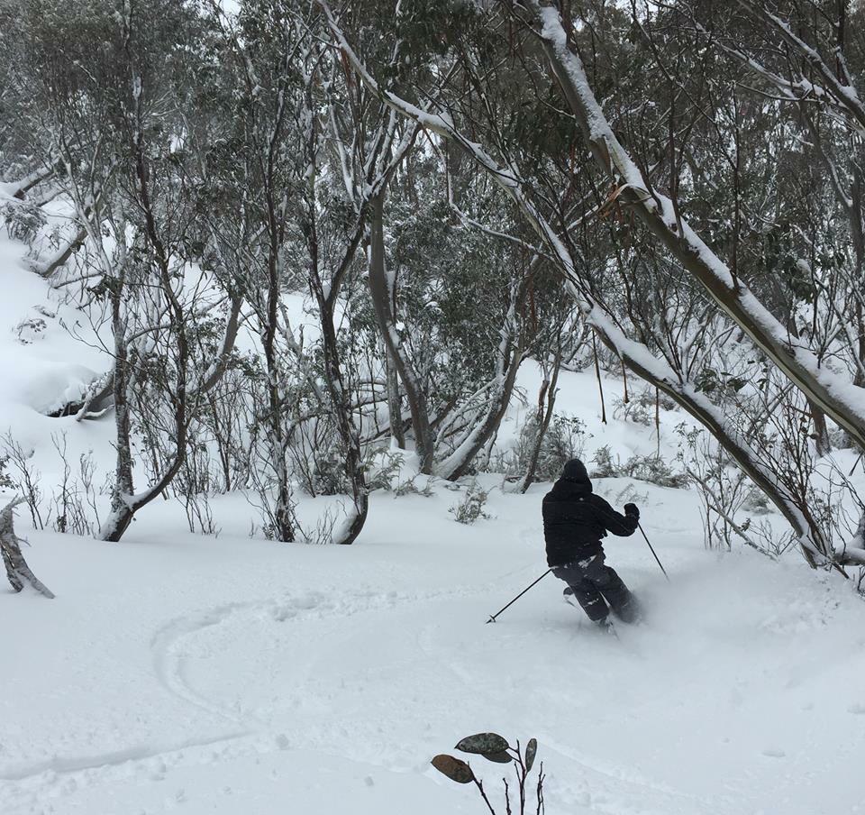 No1FitnessApp's tweet image. The Active Time ski team were in action today @_hotham chasing fresh tracks. #ActiveTime #skiing