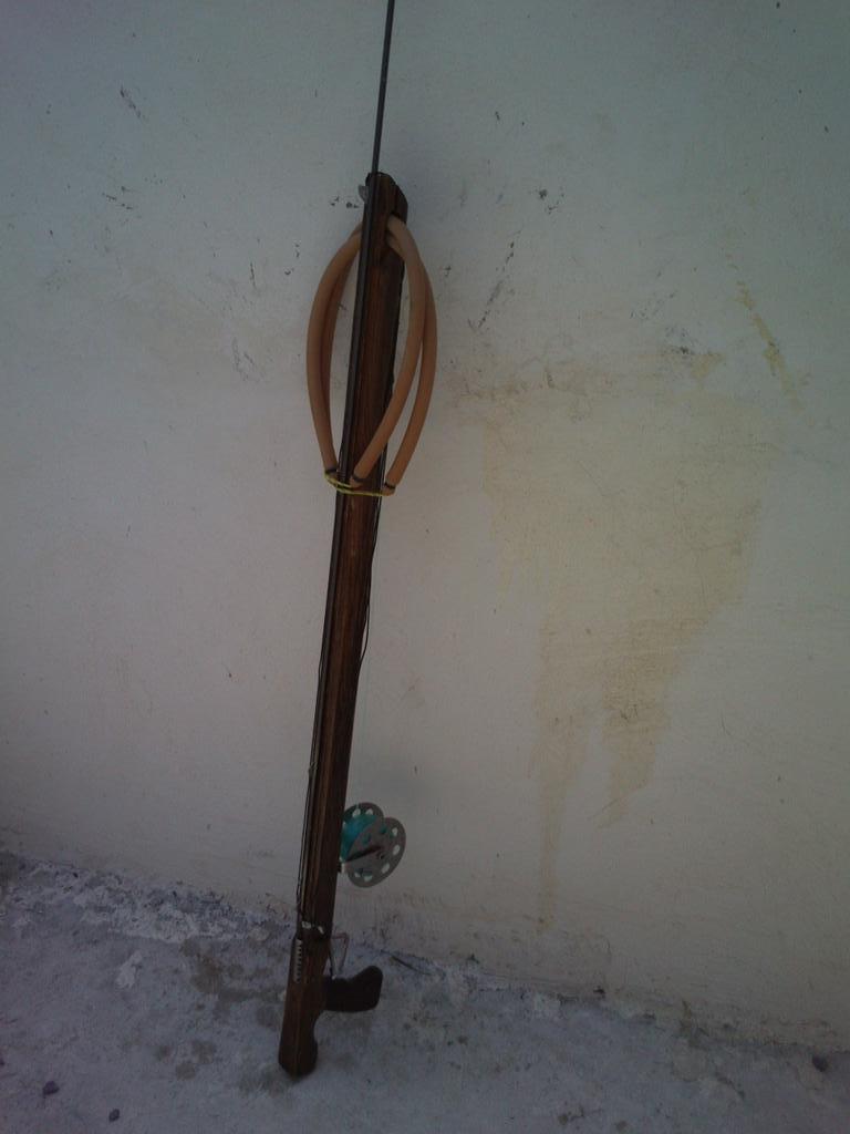 z_kish tweet picture