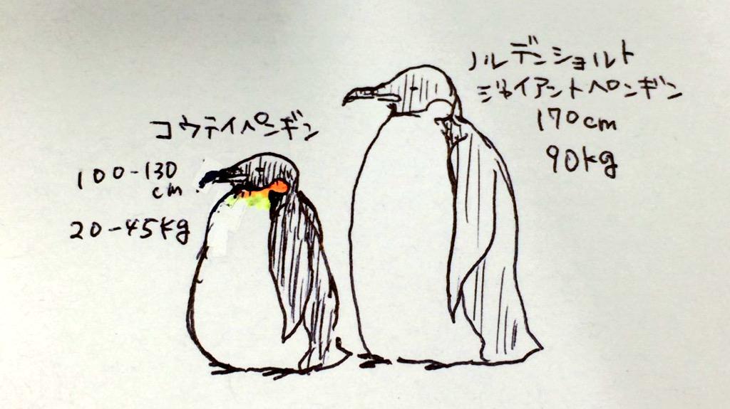 化石ペンギン大きい… 