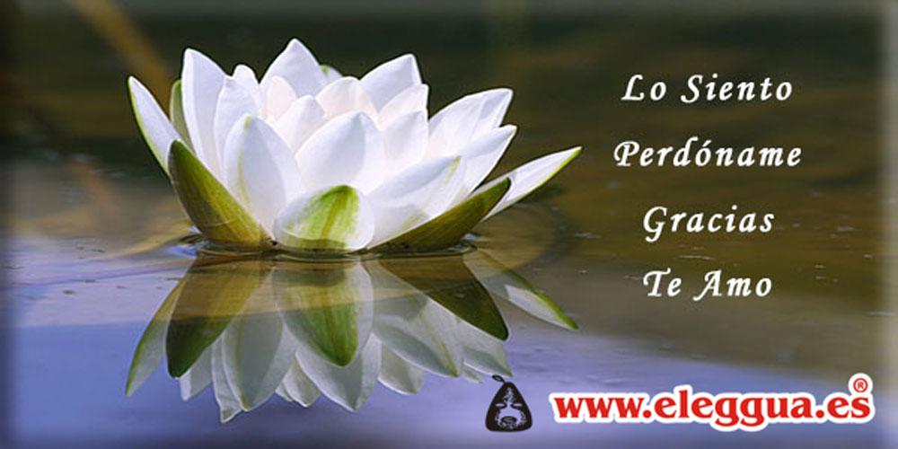 ELEGGUAESOTERIC's tweet photo. Somos lo que pensamos -Budha. El poder curativo del amor #hoponopono http://t.co/YkSvgpIfKC http://t.co/D2SMBlAj6v