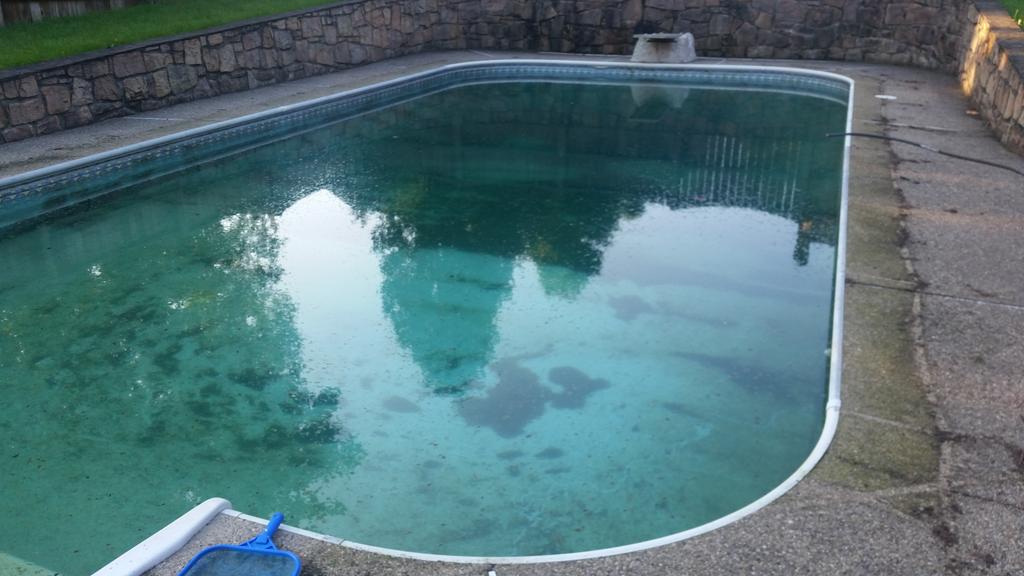 PurePoolCare's tweet image. This pool was closed for two years and took a week to clean up but it's beautiful and one happy customer