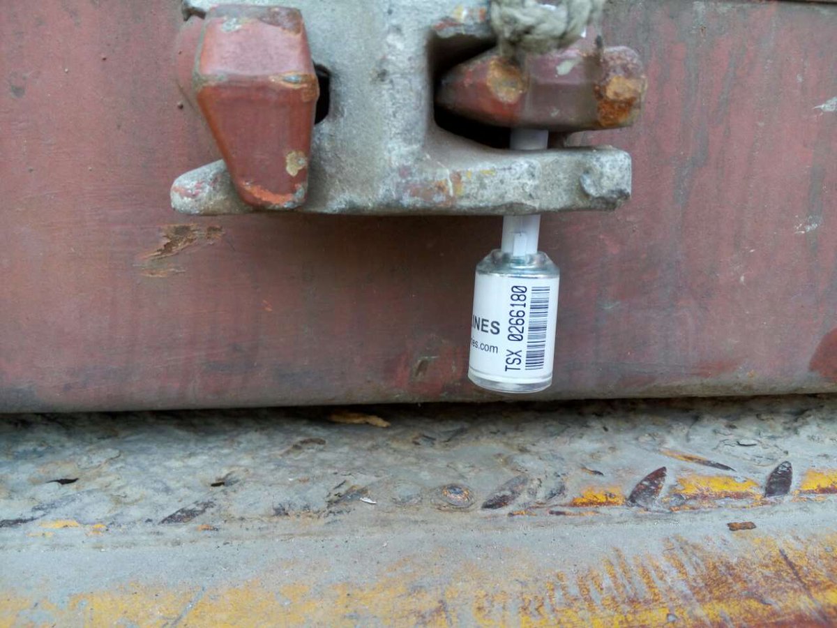 Orientpkg tweet media