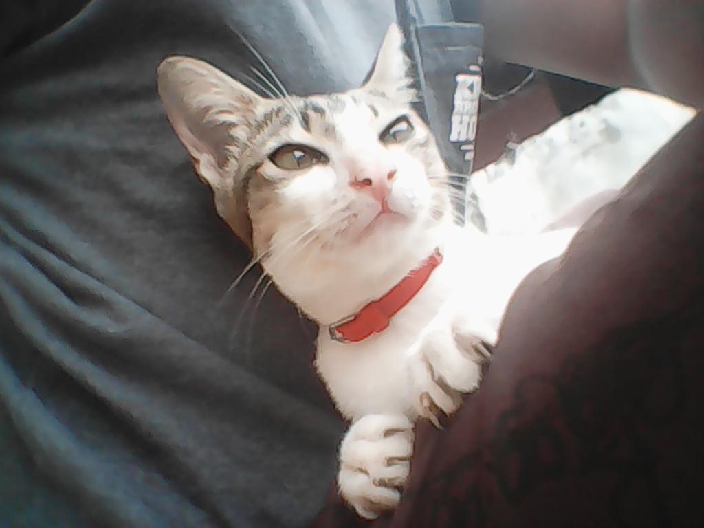 ig. putra_percussion