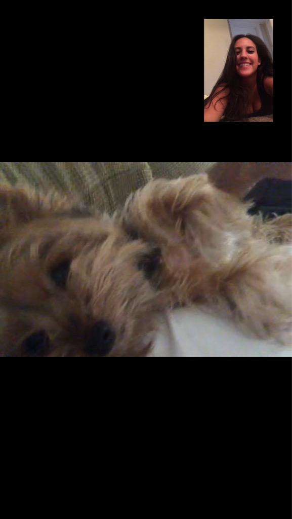 Julia_Bananto's tweet photo. Face time with Sophie My baby girl tonight http://t.co/CCF76vmvw0