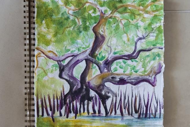 TheNationalNews's tweet photo. UAE coast series: Artwork inspired by the beauty of Umm Al Quwain’s mangroves  http://t.co/M7A1iY66HW http://t.co/GWVTT8mmql