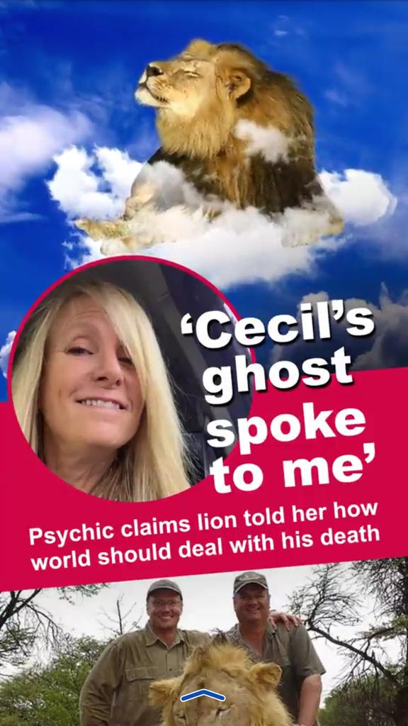 Peeta2015's tweet photo. I'm not trying to be a dick or anything bc I love animals. But seriously???? Hahahah it's just a fucking lion!!! http://t.co/9VJkKBpbze