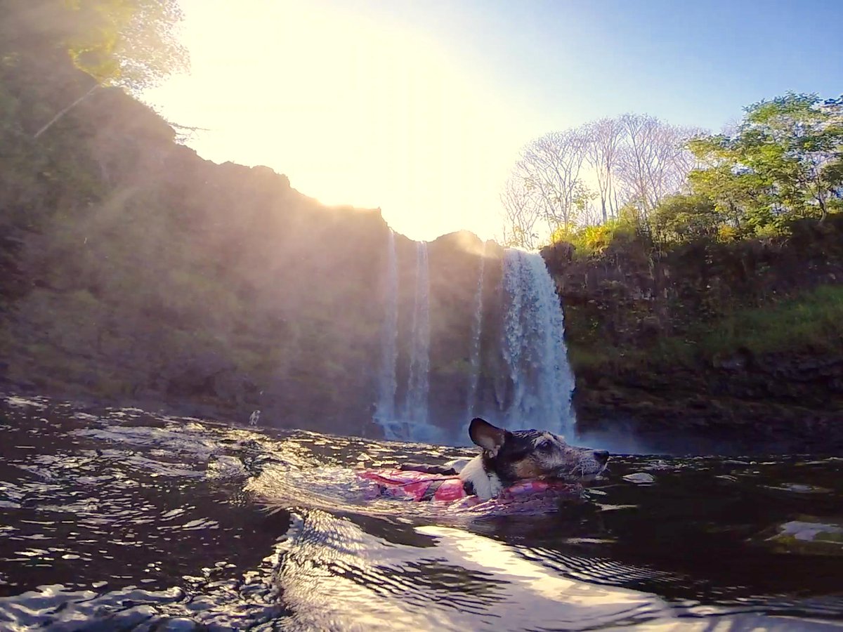 LocalKineApps's tweet photo. #Hawaiian word of da day: Κ»ΕhΔwai. Definition: Water dripping down a cliff as to a pool. #boilingpots #Hilo #Hawaii http://t.co/vod0Od9rnt
