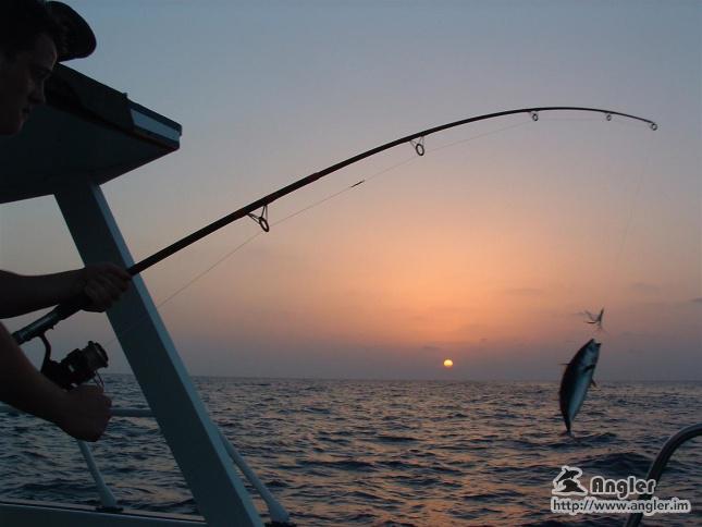 solotcom's tweet image. A Perfect Fishing Trip. For more details, please visit Angler official website: angler.im/news/3AslJhSoE…
