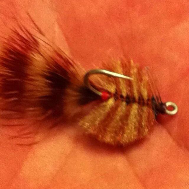 S2Outfitters's tweet photo. Lots of room left in the new fly box, grinding through redfish food. http://t.co/i3K1k3ICIC