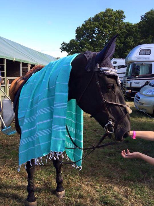 ScottGarrettDeb's tweet photo. Even the horses are getting in on the act @foutala #towel #dry #stylish compact #lightweight http://t.co/nUvymMYlsO