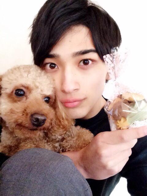 トイプードル様 専用】横浜流星さん 写真Lサイズ 子犬のご紹介のページ /