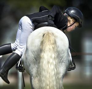 de Volkskrant tweet media