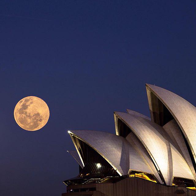 sydney_sider's tweet photo. Last night's performance of the Blue Moon at the Sydney Opera House

Captured by: @jaym3s2 - Sydney Opera House http://t.co/xJnVwgXDsU