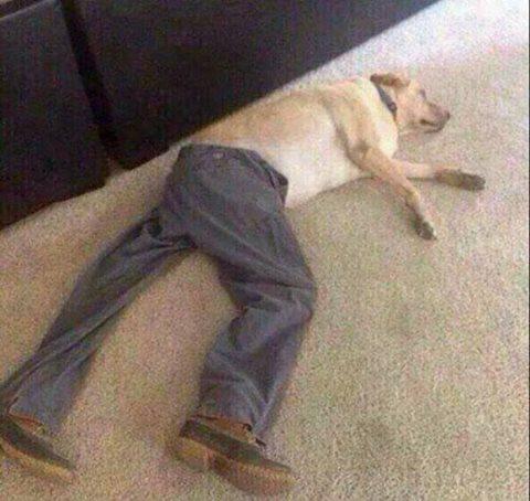 TreaGEvents's tweet photo. When we used to be called Dogs http://t.co/O16FIfpOUh