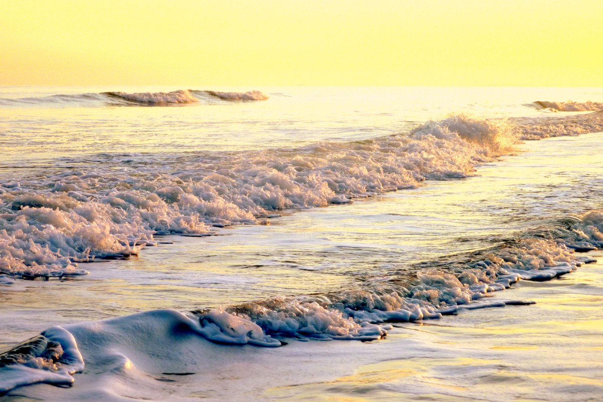 Toeristen, kom naar #Zeeland! Hier mag je wel in de zee zwemmen omroepzeeland.nl/nieuws/2015-08… #zeevonk