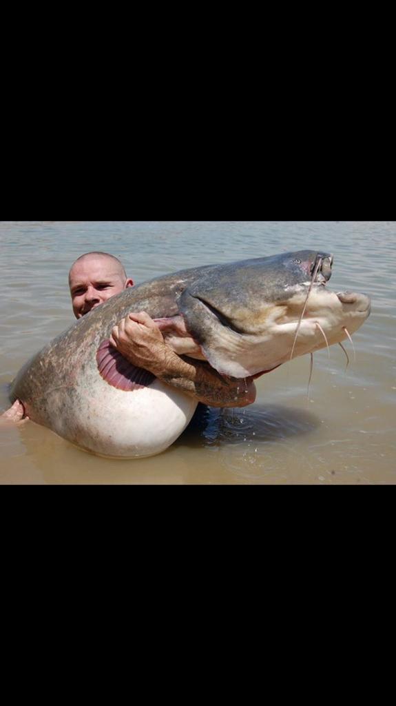 jay (@hitchmanjason) on Twitter photo 