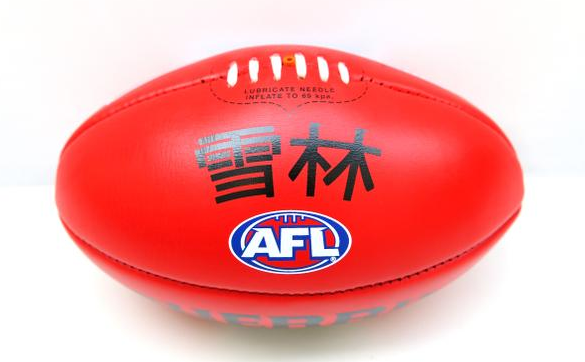 afldiversity's tweet photo. Our @auspost Multicultural Ambassadors are taking over our Twitter this week! Best question each day wins a Sherrin! http://t.co/zU1P4ys24t