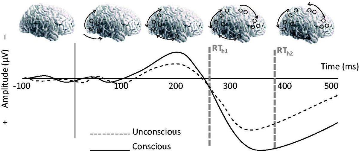 NeuroConsc's tweet photo. When Does #VisualConsciousness Arise? Our New Publication from Railo, Revonsuo, & Koivisto! http://t.co/OzemYeF8C2 http://t.co/7bO7VAXW43