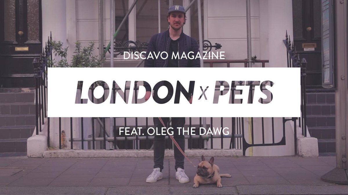 CarlitoSchmid's tweet photo. Der #Discavo #Dude in London - WOW! 

https://t.co/umwduFLhmV http://t.co/9EF7rhJbk8