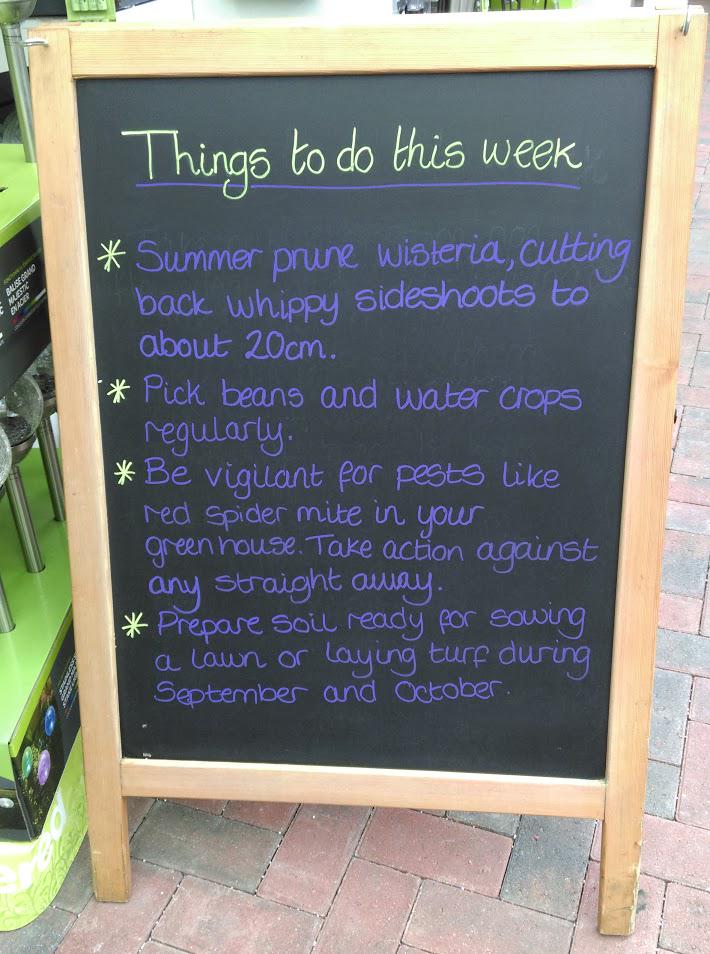 Suggested jobs for the garden this week